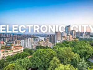 Understanding the Real Estate Market in Electronic City, Bengaluru: A Deep Dive