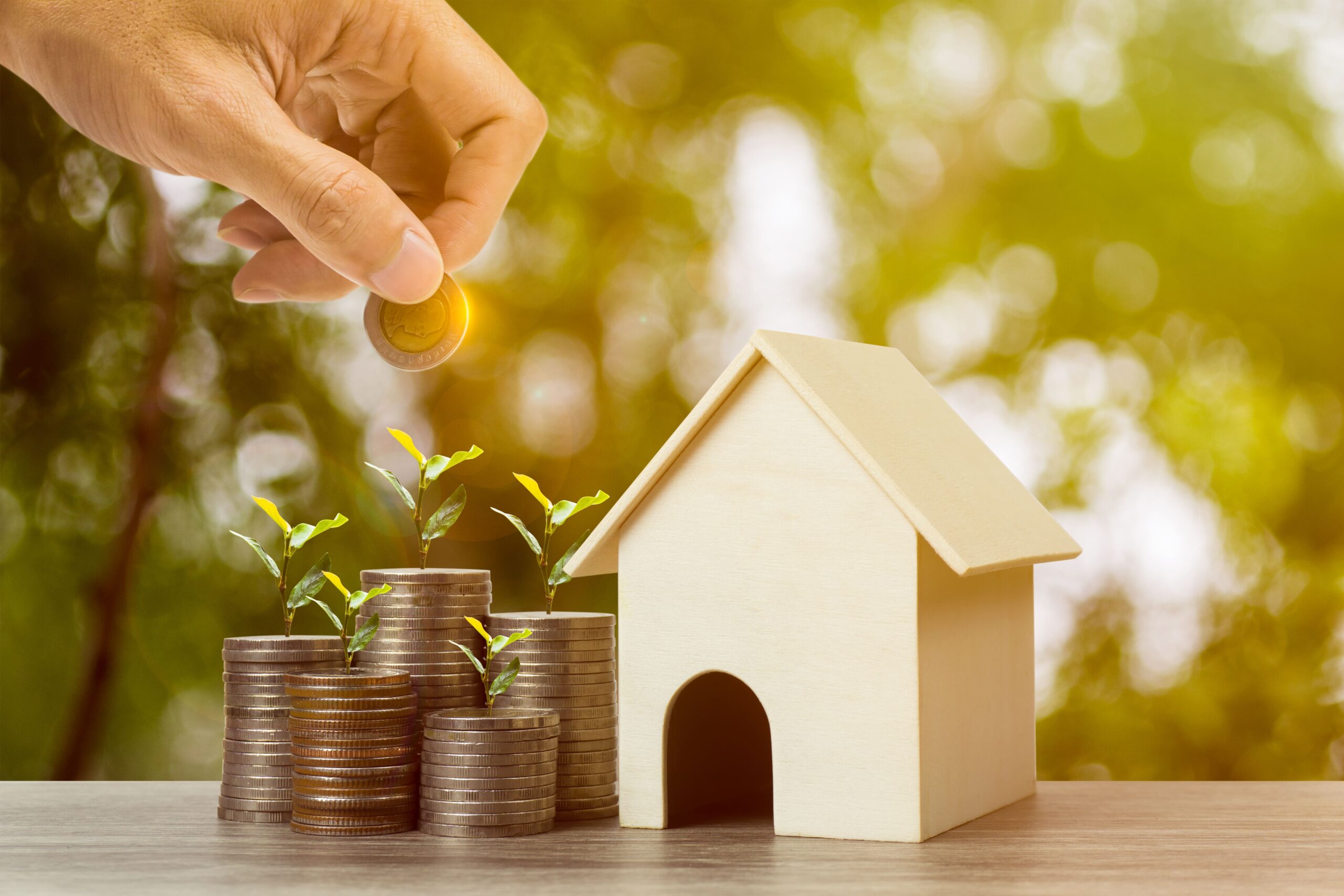 Investment Strategies
